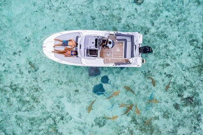 Private Tour: Bora Bora Lagoon Eco Snorkel Cruise - 3hrs or 6hrs