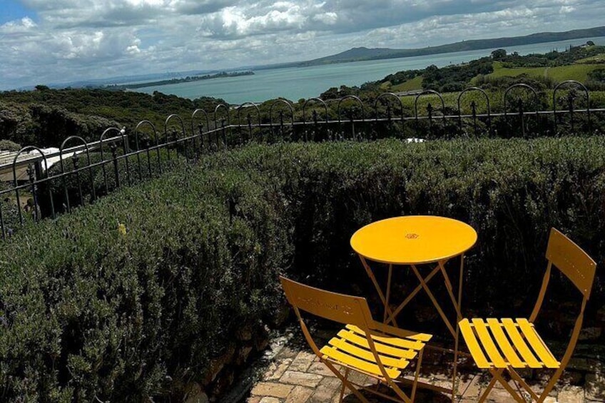 Full-Day Tour of Waiheke Island with Wine Tastings