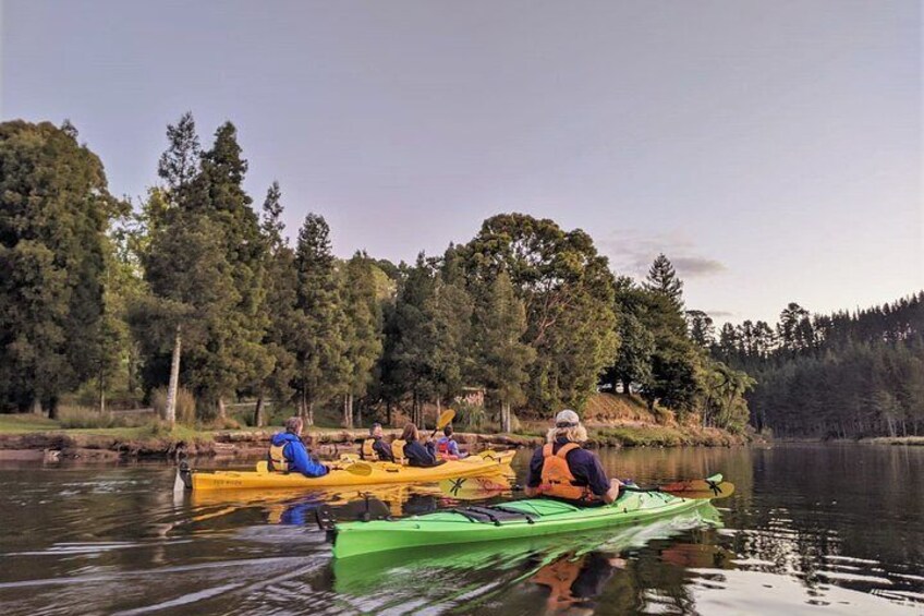 Evening Glow Worm Kayak Tour in Tauranga