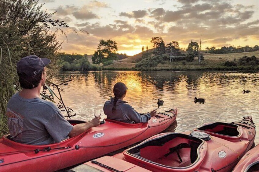 Evening Glow Worm Kayak Tour in Tauranga