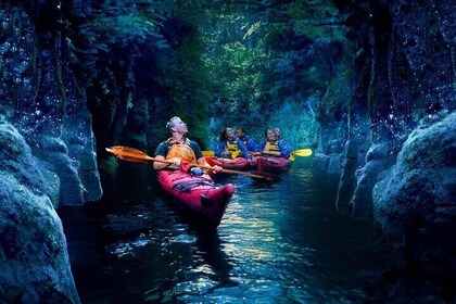 Tauranga: Evening Glowworm Kayak Tour