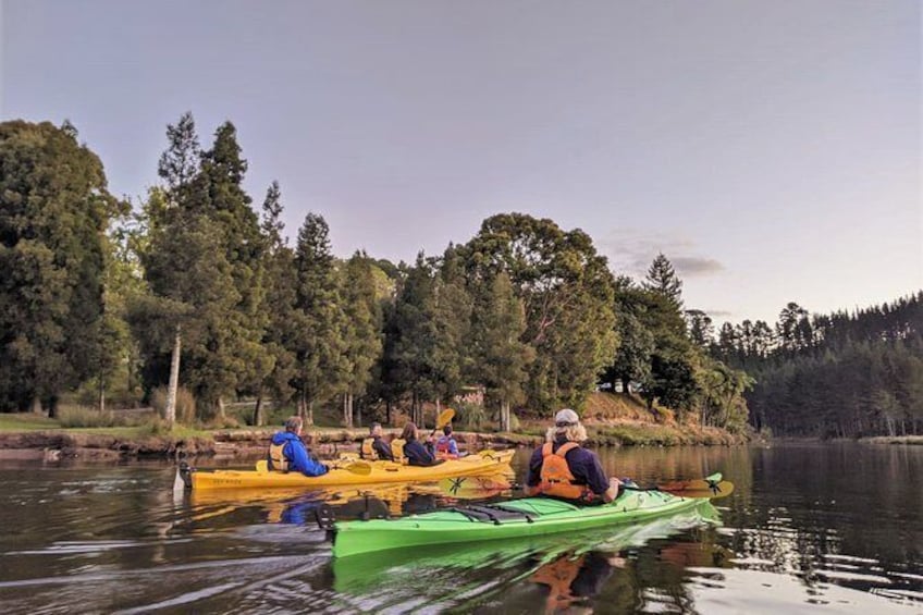 Evening Glow Worm Kayak Tour in Tauranga