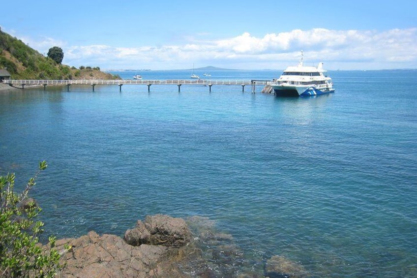 Tiritiri Matangi Island Day Trip from Auckland with Optional Guided Walk