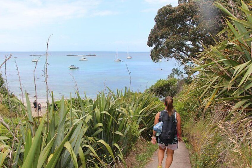 Tiritiri Matangi Island Day Trip from Auckland with Optional Guided Walk
