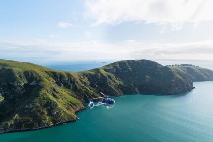 Christchurch Helicopter Flights