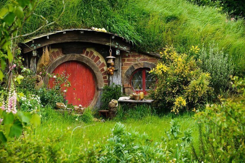 Hobbiton Movie Set Tour with lunch from Auckland
