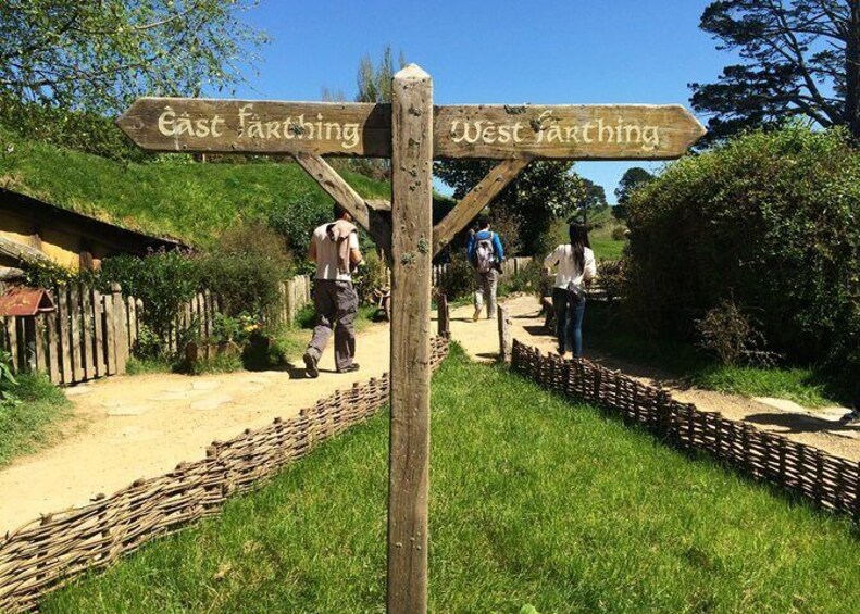 Hobbiton Movie Set Tour with lunch from Auckland