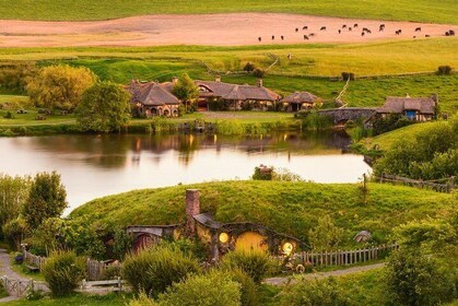 Hobbiton Film Set Tour with lunch from Auckland