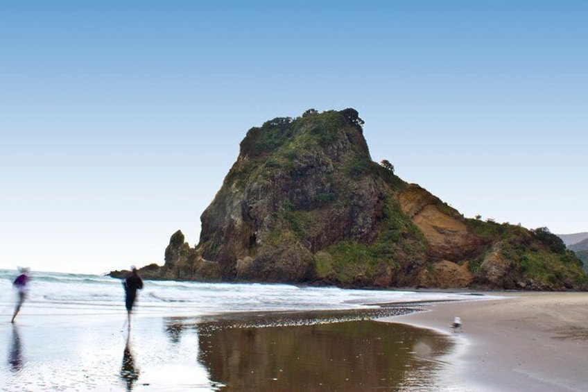 Piha Beach - Coast and Rainforest Walk