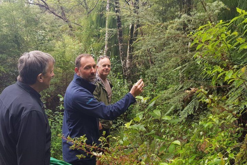 Experienced guides will show you native plants and trees