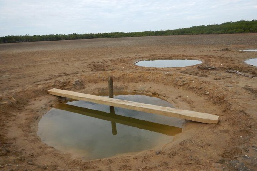 Lomawai Salt Farms