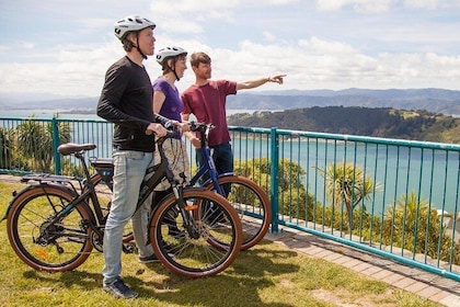Wellington Electric Bike Tour