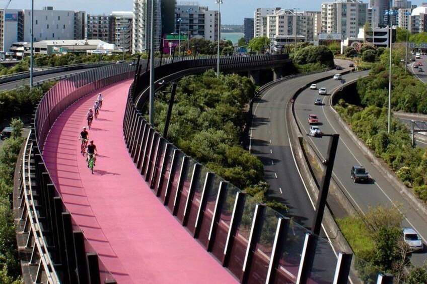 Ride the famous Pink Path!