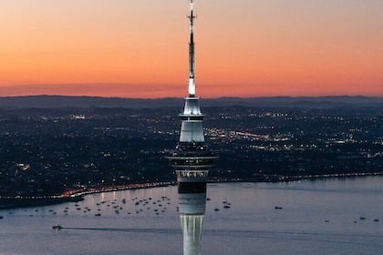 Auckland Sky Tower General Admission Ticket