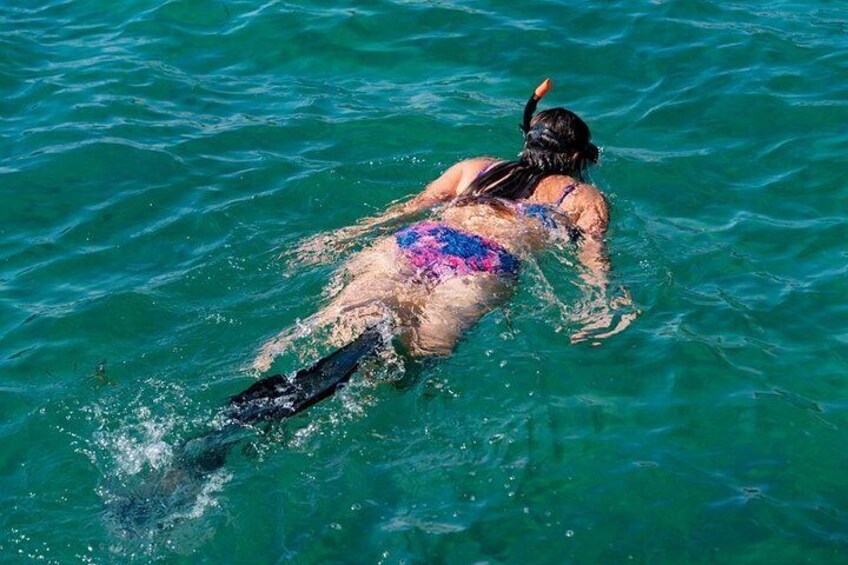 Snorkel