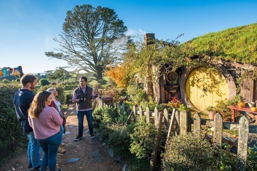 Hobbiton Movie Set