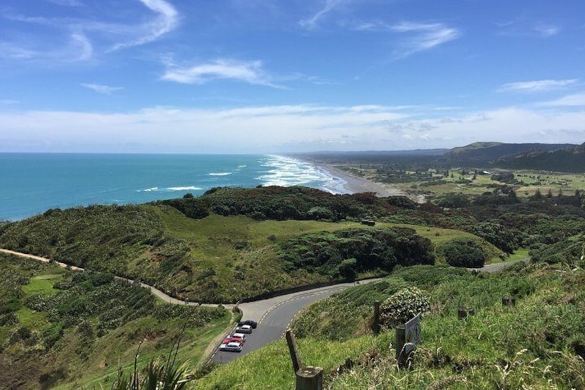 Muriwai Beach from the Lookout
