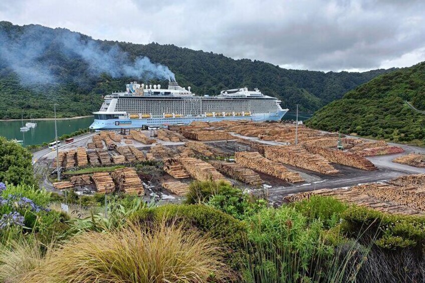 Cruise ship view