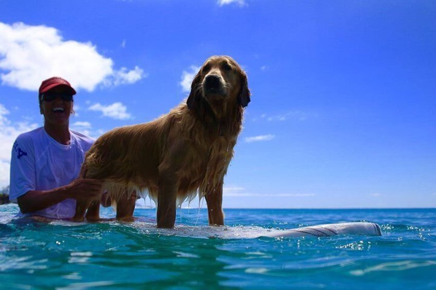 Surf lessons with Sunset Suzy and Kaya