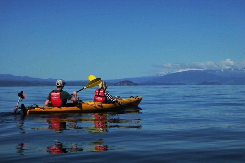 Half-Day Kayak to the Maori Rock Carvings in Lake Taupo