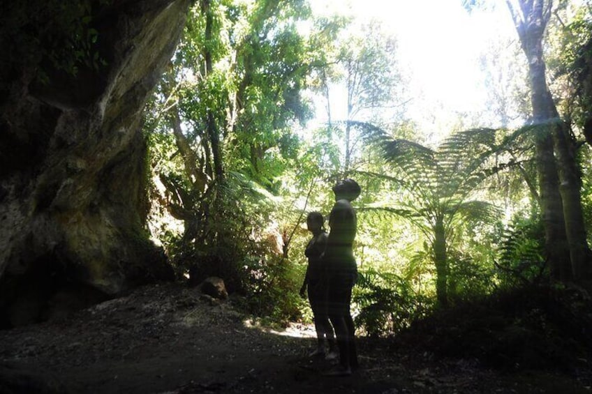 Half-Day Kayak to the Maori Rock Carvings in Lake Taupo