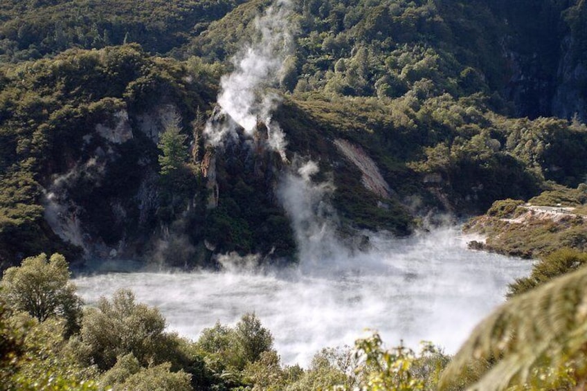 Auckland to Rotorua Private Tour