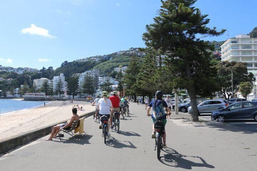 Intro to Wellington Bike Tour