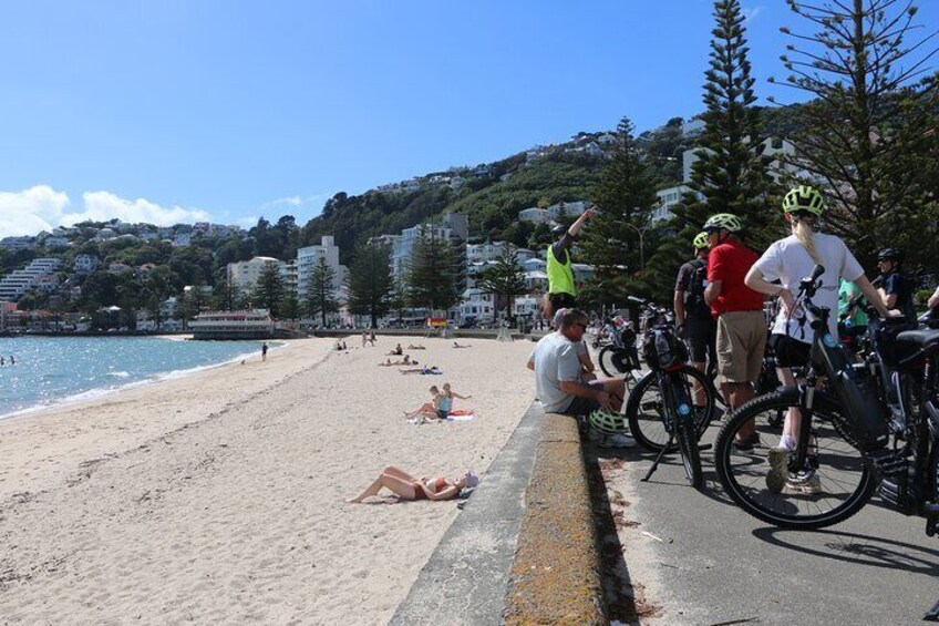 Intro to Wellington Bike Tour