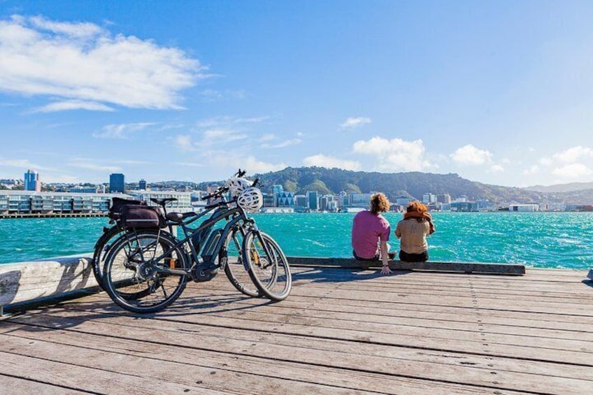 Half- Day Wellington Self-Guided Electric Bike Tour