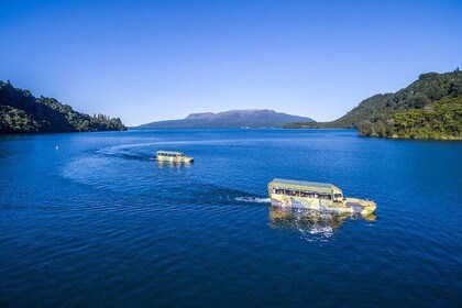 Tarawera and Rotorua Lakes Eco Tour by Boat with Guide