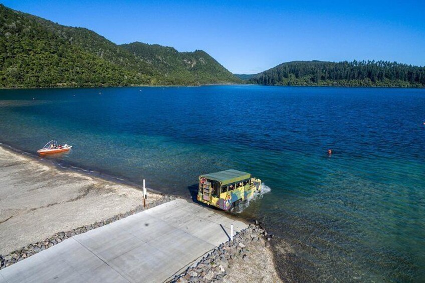 Duck Entering Blue Lake