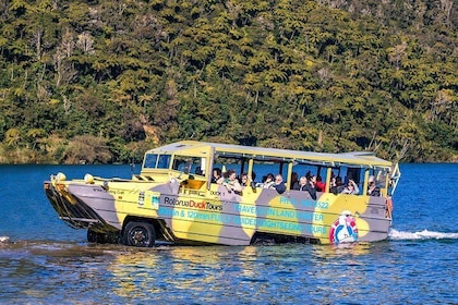 Rotorua-Tour mit Amphibienfahrzeug: geführte Stadt- und Seen-Tour