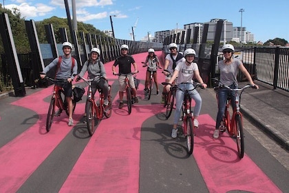 The Inside Loop: an electric bike tour of Auckland's Coolest Neighborhoods