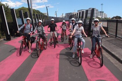 The Inside Loop: an electric bike tour of Auckland's Coolest Areas