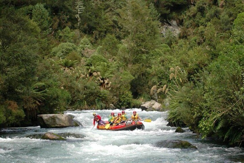 Rangitaiki River White Water Rafting from Rotorua