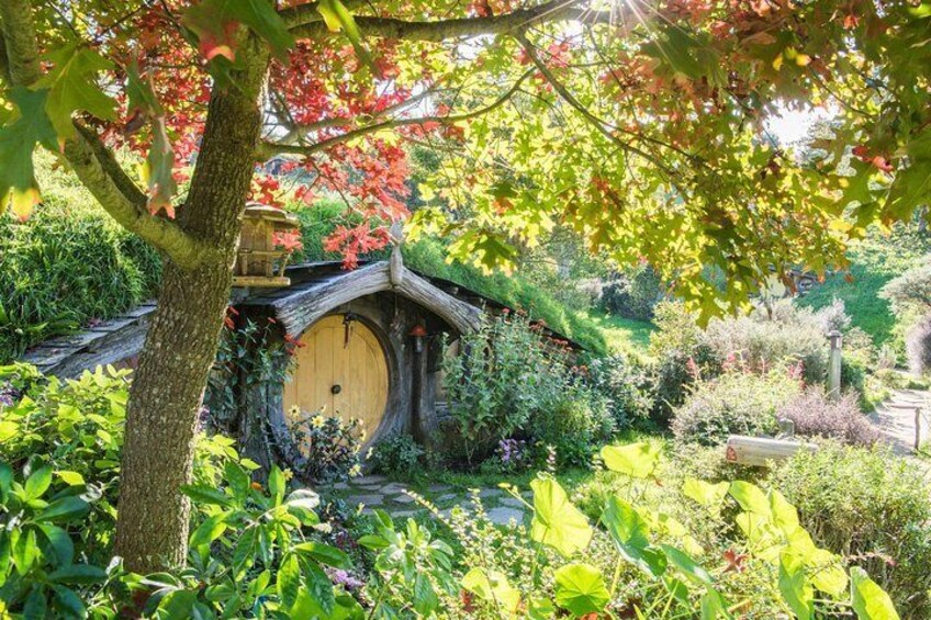 Hobbiton Movie Set