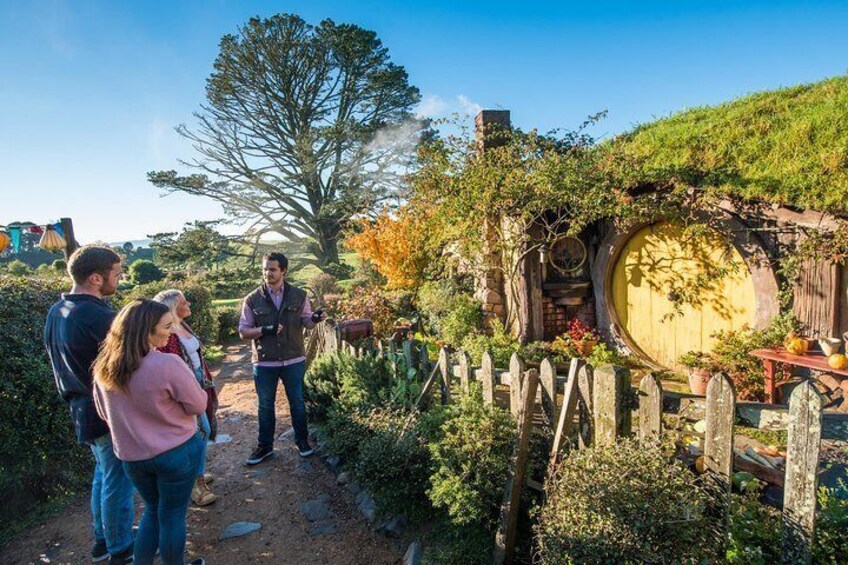 Hobbiton Movie Set