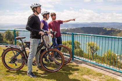 Guidad Wellington sightseeingtur med elektrisk cykel