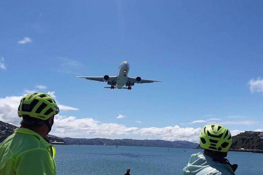 Watching planes land on the cycleway beside Wellington Airport