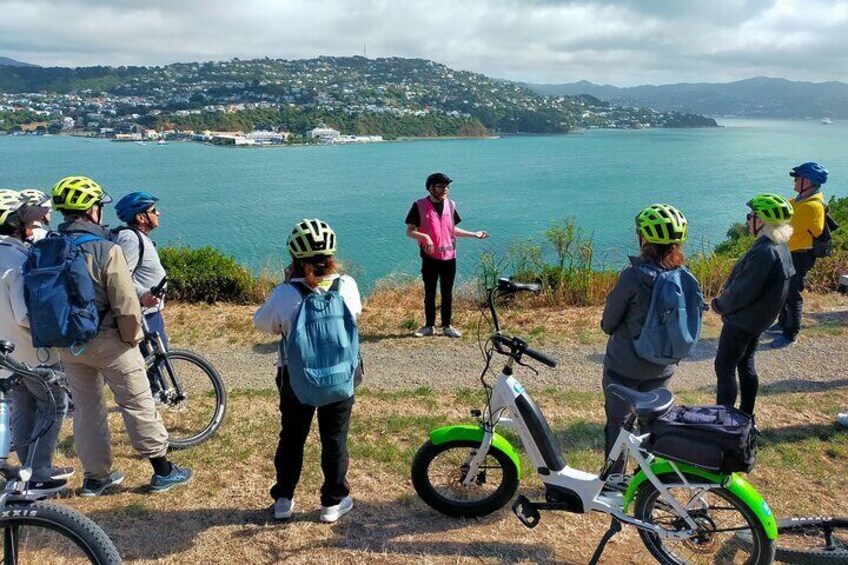 Guided Wellington Tour by Electric Bike