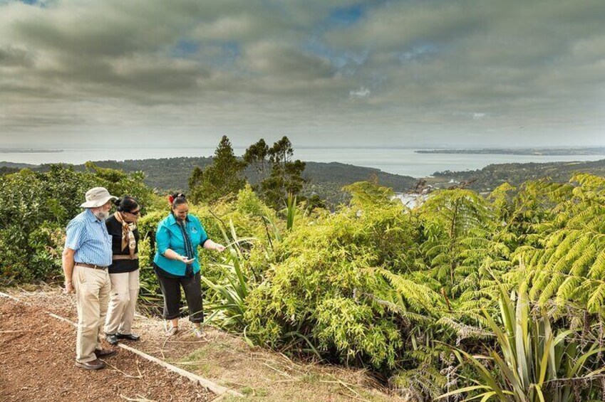 Arataki Visitor Centre in the Waitakere Ranges