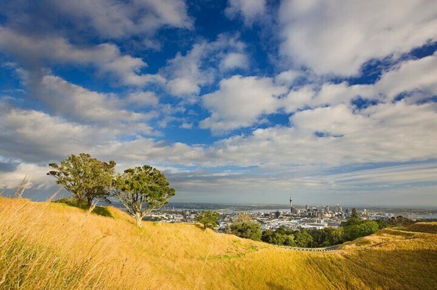 Amazing views of Tamaki Makaurau (Auckland)