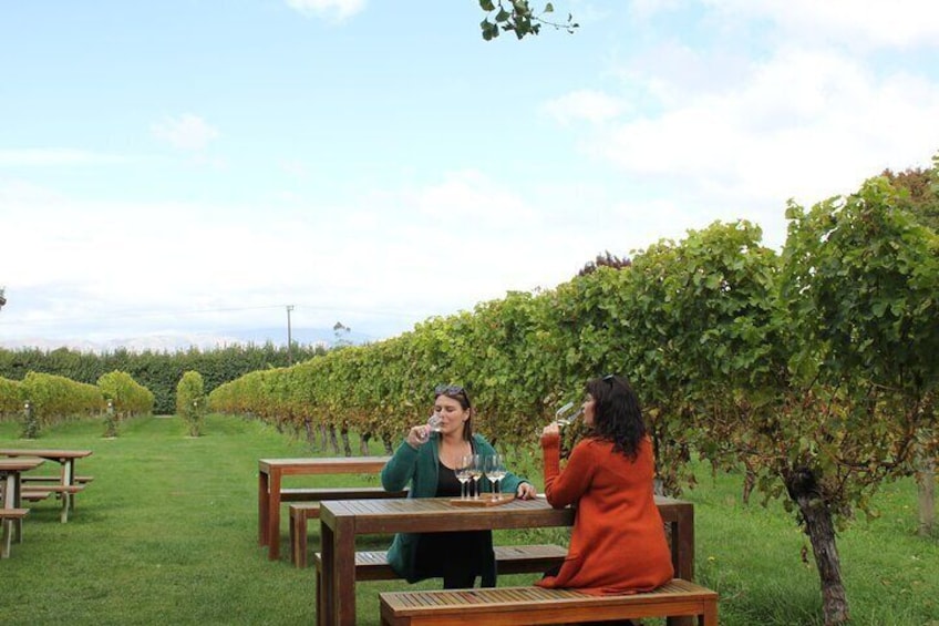 Enjoying a wine tasting amongst the vines