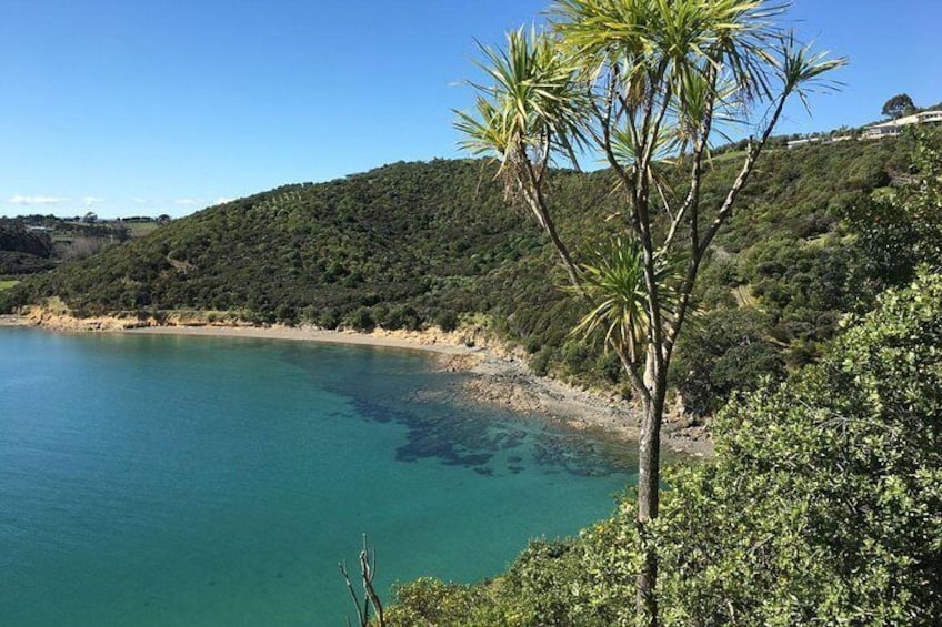 Waiheke Island shore
