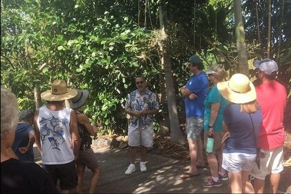 Prisvindende Farm Tour: Kaffe, chokolade og unikke gaver venter!