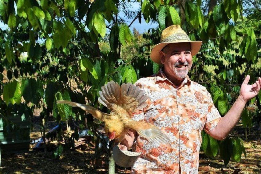 Feeding the chickens is always a thrill for everyone.