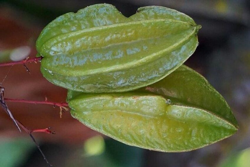 Star fruit on its side.