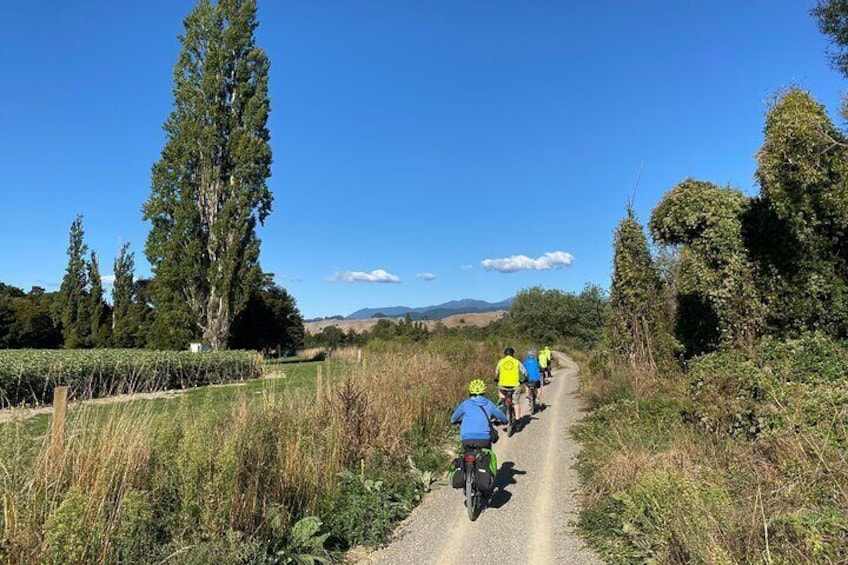 Tunnel to Town - Day Adventure - Option A Via Mapua