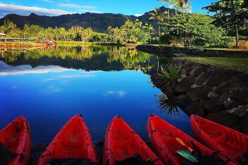 Half-Day Kayak and Waterfall Hike Tour in Kauai with Lunch