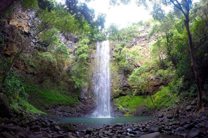 Half-Day Kayak and Waterfall Hike Tour in Kauai with Lunch